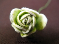 Fleur rose de chine en mousse avec feuilles verte pour décoration Vert