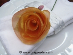 Rose en organza Orange