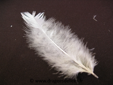 Plume naturelle
