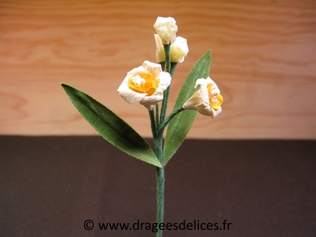 Bouquet de narcisses pas cher avec boutons de fleur et feuilles vertes