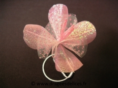 Tulipe sur pied Rose