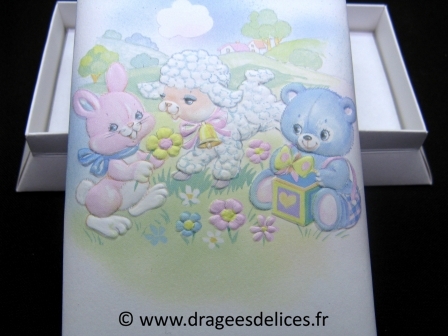 Boite rectangulaire pour baptême Mignonet et ces amis : Boite rectangulaire pour baptême en promo à prix discount