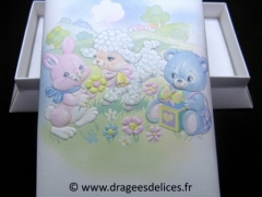 Boite rectangulaire pour baptême Mignonet et ces amis 