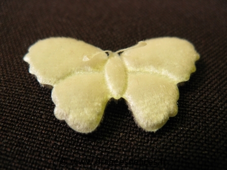 Papillon en velour