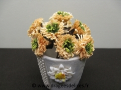 Bouquet de marguerites Orange