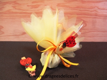 Grande coccinelle sur pince
