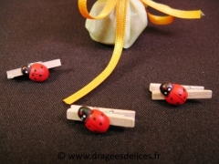 Petite coccinelle sur pince 