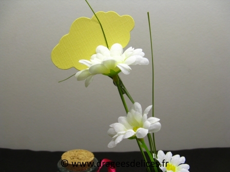 Pot marguerite