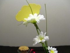 Pot marguerite 